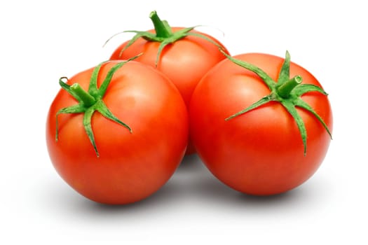 tomatoes