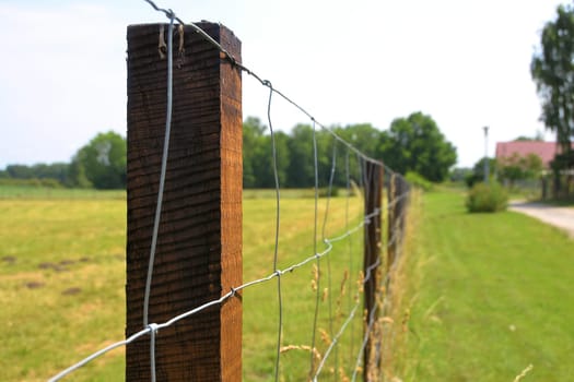 Electric fence