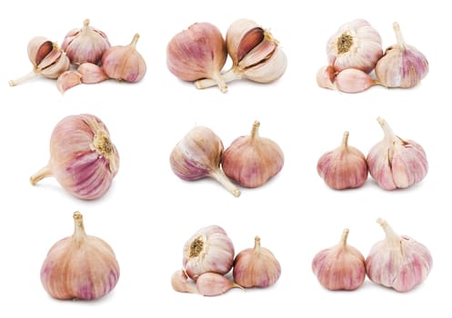 Collection of fresh young garlic isolated on white background