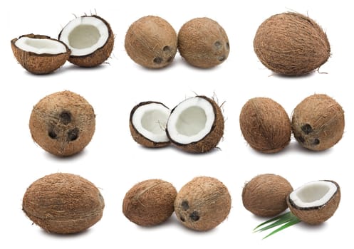 Collection of fresh coconuts isolated on white background