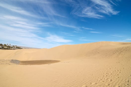 Texture Sand Dune Desert in Gran Canaria Island Spain