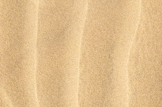 Texture Sand Dune Desert in Gran Canaria Island Spain