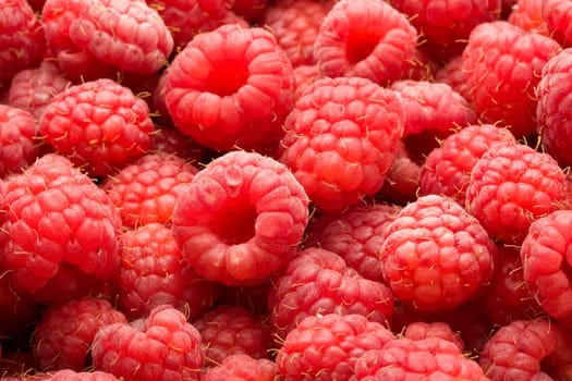 Many fresh red raspberries making beautiful background