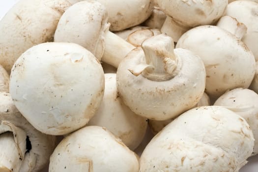 Champignon mushrooms making raw food pattern background
