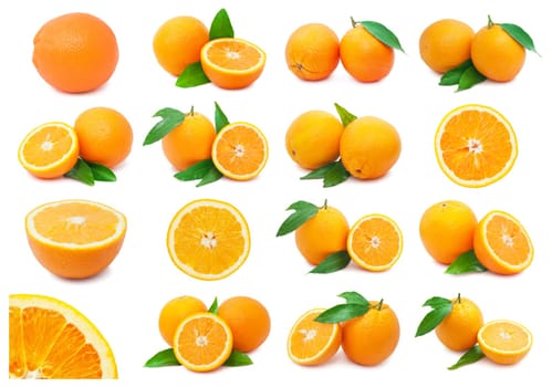 Collection of fresh orange fruits isolated on white background
