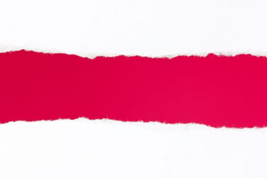 Torn white paper with space for your message
