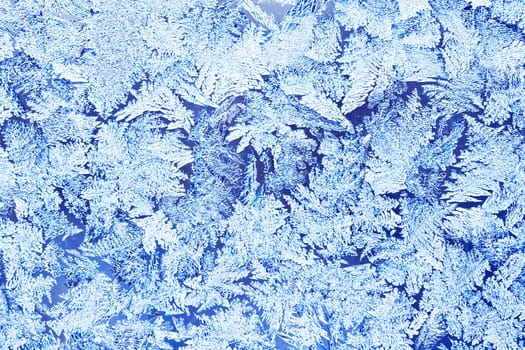 Beautiful pattern of frost on  winter window