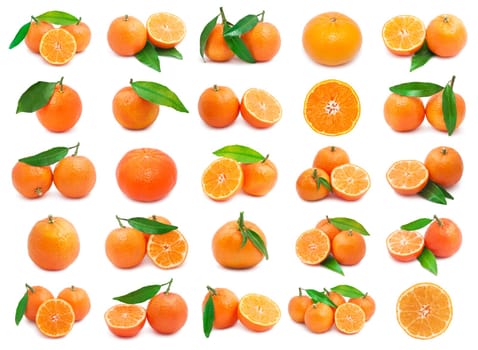 Collection of juicy tangerines or mandarins isolated on white background