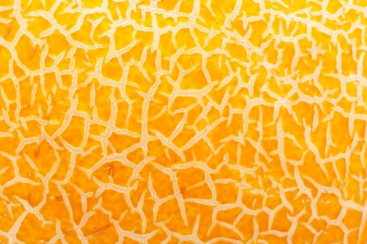 Fresh juicy melon peel making nice background
