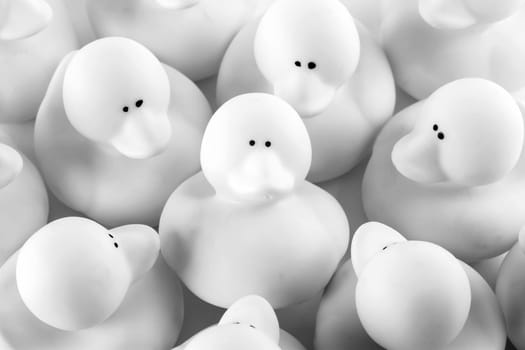 Rubber duck in a crowd of ducks