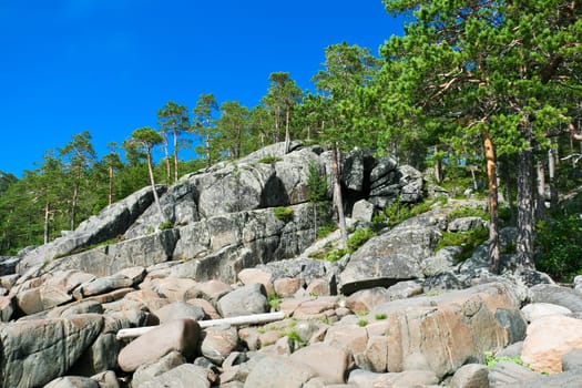 Nice photo of sea coast in summer