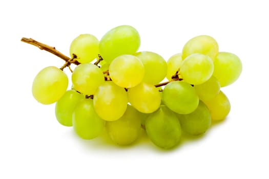 Branch of grapes isolated on white background