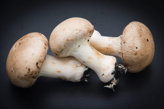 Mushrooms