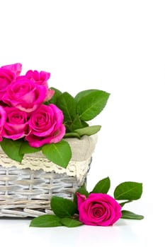pink roses in a basket