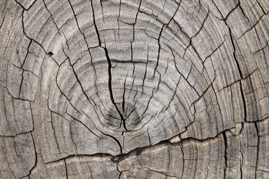 Old Vintage Architecture Wood Pattern Trunk Texture
