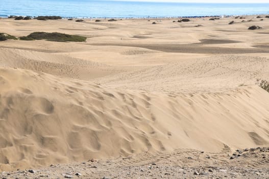 African European Sand Dune Desert Landscape in Gran Canaria Island Spain