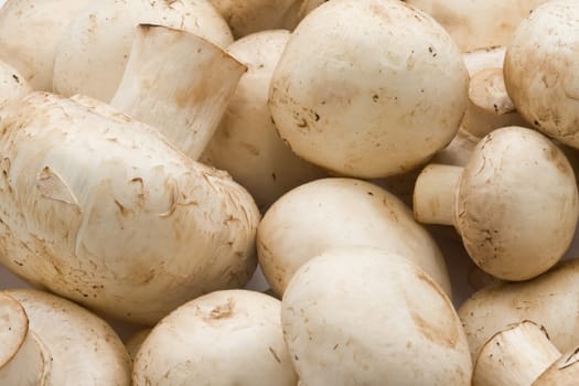 Champignon mushrooms making raw food pattern background