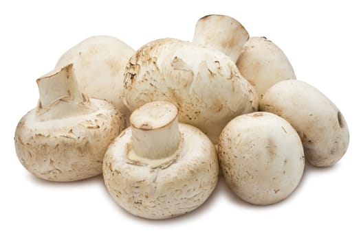 Fresh champignon mushrooms isolated on white background