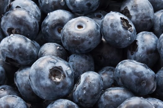 Beautiful organic background made of freshly picked blueberries