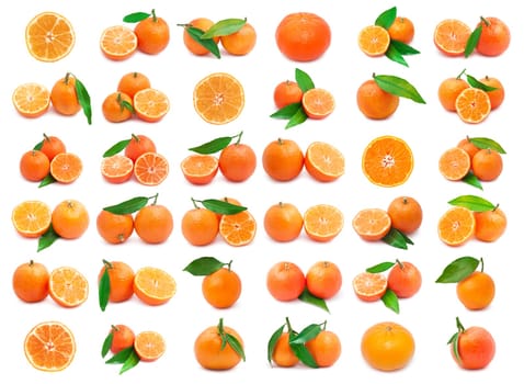 Collection of juicy tangerines or mandarins isolated on white background