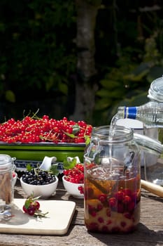 Make your own cherry liqueur,Step 6,vodka is the preserving jar with the cherries,cane sugar and spices