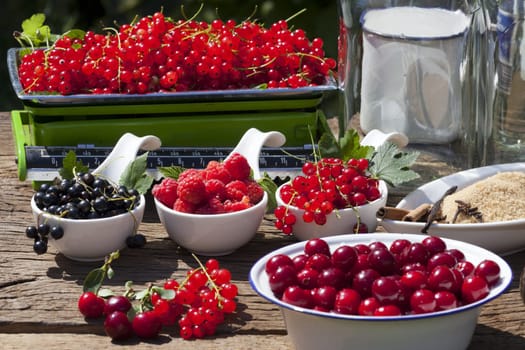 Fresh summer fruits to prepare fruit liqueur
