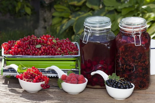 Self-prepared blackcurrant liqueur and cherry liqueur in preserving jars