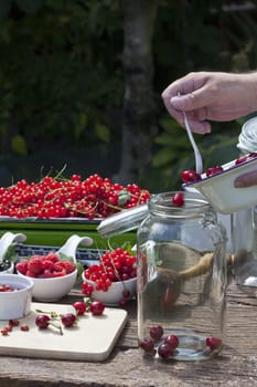 Make your own cherry liqueur,Step 4,place the washed and pitted cherries in a large preserving jar