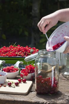 Make your own cherry liqueur,Step 4,place the washed and pitted cherries in a large preserving jar