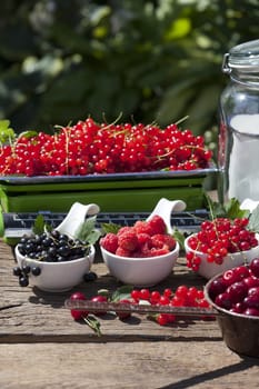 Freshly picked soft fruits in bowls and on a kitchen scale for the production of fruit liqueur
