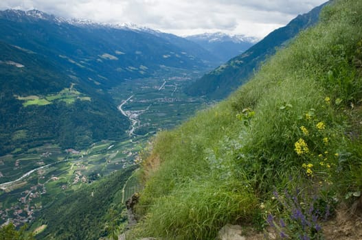 Landscape view of the Merano Valley in the direction of Bolzano photographed from a steep slope above the village of Tirol in South Tyrol in summer with a covered sky