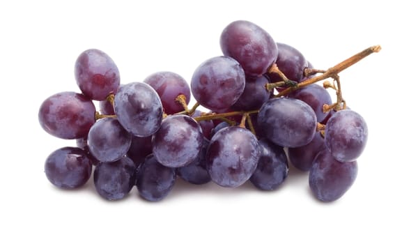 Branch of grapes isolated on white background