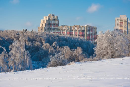 Nice photo of winter forest covered by white snow