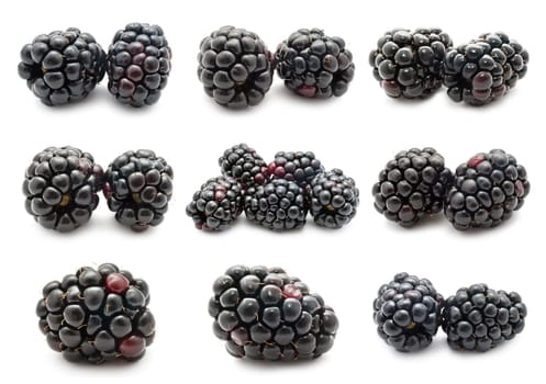 Collection of fresh blackberry isolated on white background