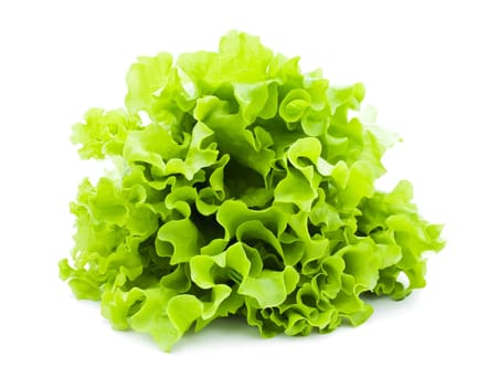 Fresh green Lettuce salad isolated on white background