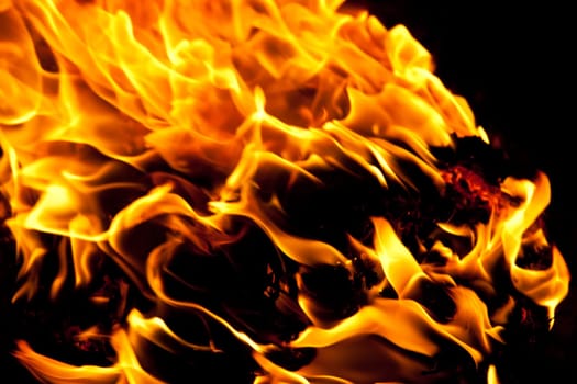 Beautiful yellow and orange hot fire on black background
