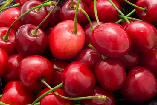 Beautiful red fresh cherry macro photo background