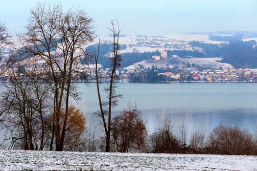 Winter at Lake Baldegger with a view of Gelfingen and the castle