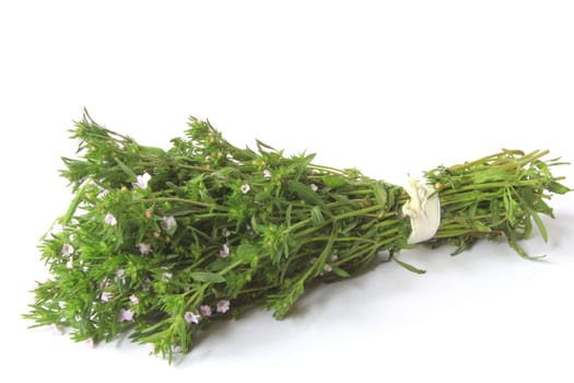 a bunch of savory (Satureja hortensis) against a white background