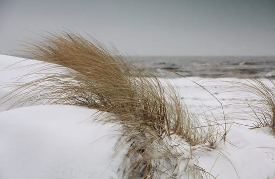 Snow on the dunes,storm on the Baltic Sea,March 2013,Fischland-Darß-Zingst,Mecklenburg-Western Pomerania,Germany