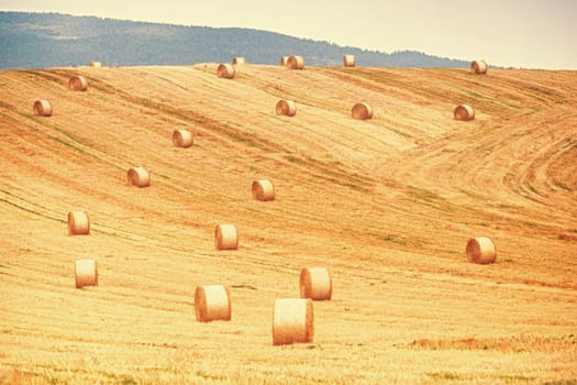 Straw bales