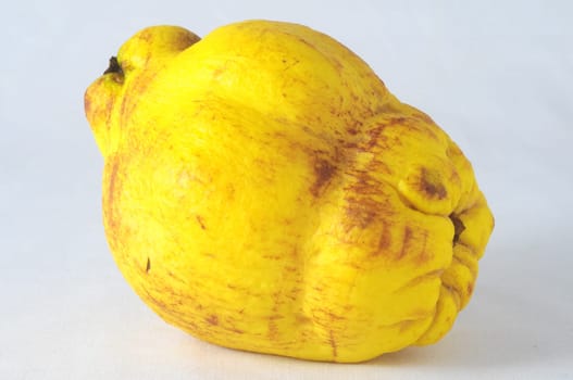 Very Ripe Healthy cedar on a White Background