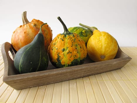 Autumn decoration with ornamental pumpkins