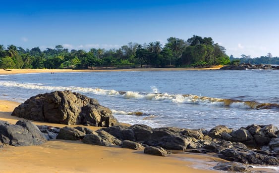 Kribi Dream
