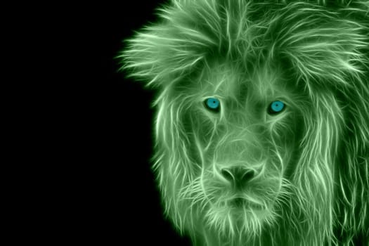 Detailed view of the head of a lion