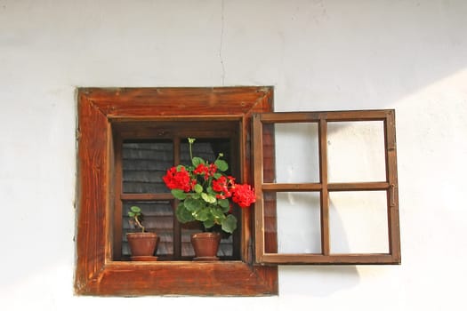 Old wooden window in a rural house with white wall. Red flower in a pot