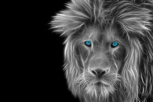 Detailed view of the head of a lion