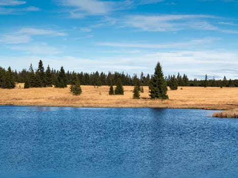 Dead pond is surrounded by woods approximately three kilometers northeast of Hrebecna. By the dark color of the water caused by the surrounding peat is sometimes called the Black Pond. The Ore Mountains, Czech republic.
