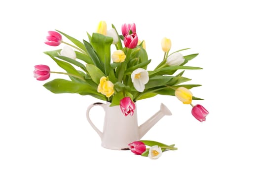 Tulips in tin can