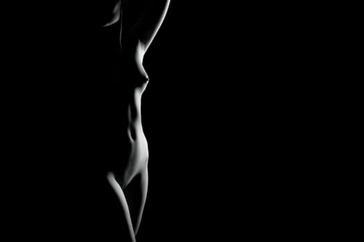 Erotic contour of beautiful nude woman on black background